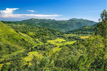Indonesia, Flores Island, Ruteng. The attractive mountainous scenery with terraced rice paddies near Ruteng. Stock Photo - Rights-Managed, Code: 862-07909972