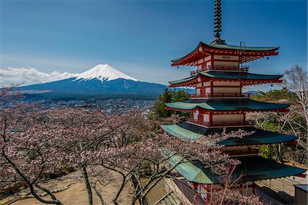 Chureito pagoda with blooming cherry trees and Mount Fuji in the background, Fujiyoshida, Yamanashi Prefecture, Japan Stock Photo - Rights-Managed, Code: 862-07910163