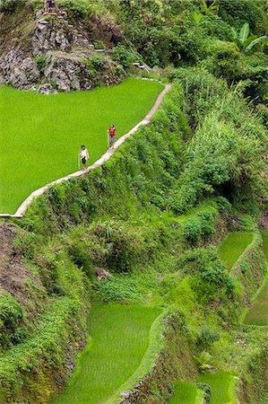 Asia, South East Asia, Philippines, Cordilleras, Ifugao, Banaue, Batad; tourists hiking on the walking trail between Banaue and Batad which runs pas the UNESCO World heritage listed Ifugao rice terraces Stock Photo - Rights-Managed, Code: 862-07910424