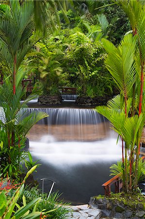 spring (body of water) - Costa Rica, Alajuela, La Fortuna. Hot Springs at The Tabacon Grand Spa Thermal Resort. Stock Photo - Rights-Managed, Code: 862-08090078