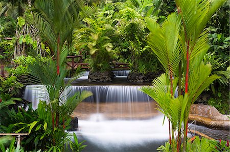 Costa Rica, Alajuela, La Fortuna. Hot Springs at The Tabacon Grand Spa Thermal Resort. Stock Photo - Rights-Managed, Code: 862-08090079