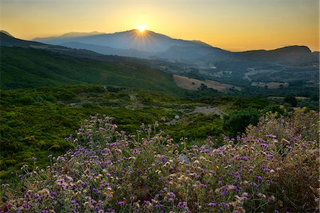 flowers greece - Sunset in the mountains near Argiroupoli, Crete, Greece, Europe Stock Photo - Rights-Managed, Code: 862-08090268