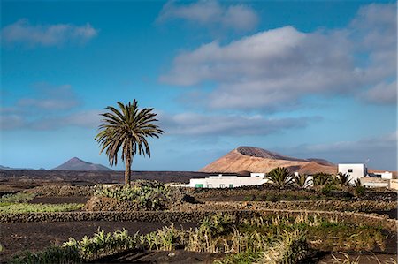 simsearch:862-05999254,k - Village Mancha Blanca in front of Caldera Blanca, Lanzarote, Canary Islands, Spain Photographie de stock - Rights-Managed, Code: 862-08091230