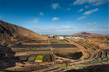 simsearch:862-05999254,k - View from Mirador Guiguan, Mancha Blanca, Lanzarote, Canary Islands, Spain Photographie de stock - Rights-Managed, Code: 862-08091231