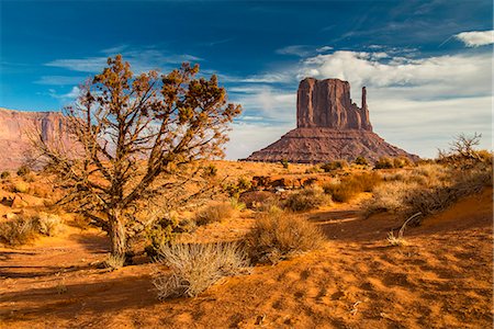 simsearch:862-08091424,k - West Mitten Butte, Monument Valley Navajo Tribal Park, Arizona, USA Stock Photo - Rights-Managed, Code: 862-08091454