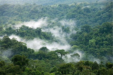 Central America, Costa Rica, mist rising off cloud forest Stock Photo - Rights-Managed, Code: 862-08272957