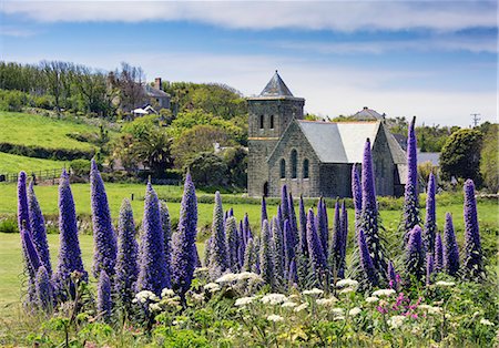 England, Isles of Scilly, Tresco. Flowers and St Nicholas church. Stock Photo - Rights-Managed, Code: 862-08699160