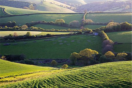 south - England, South Devon. Rolling pastoral landscape of the South Hams region. Stock Photo - Rights-Managed, Code: 862-08699194