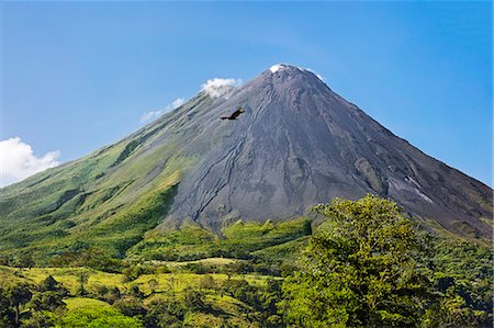 steep - Costa Rica, Alajuela Province, Arenal.  Arenal Volcano with steam rising from its peak.  This active stratovolcano erupted last in 2010. A Turkey Vulture flies overhead. Stock Photo - Rights-Managed, Code: 862-08704761