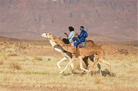 simsearch:862-03437232,k - Niger, Agadez, Iferouane. Two Tuareg men race their camels sitting on traditional camel saddles with back rests. Stock Photo - Rights-Managed, Code: 862-08704975