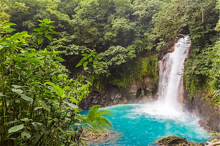 Parque National Tenorio, Catarata del Rio Celeste, wild waterfall in the rainforest Stock Photo - Rights-Managed, Code: 862-08718522