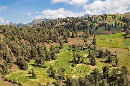 ethiopia - Ethiopia, Oromia Region, Bale Mountains. Farms in the once well-forested slopes of the Bale Mountains. Stock Photo - Rights-Managed, Code: 862-08718752