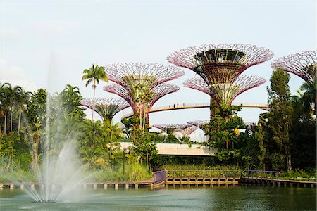 singapore nature scenery - South East Asia, Singapore, Garden by the Bay, Supertree Grove aerial walkway Stock Photo - Rights-Managed, Code: 862-08719514