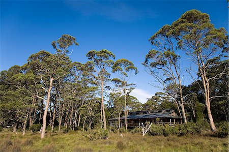 pictures overland track - New Pelion Hut on the Overland Track Stock Photo - Rights-Managed, Code: 862-03289017