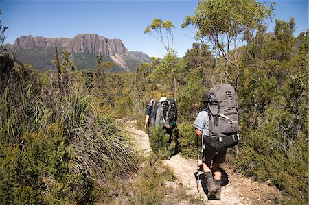 pictures overland track - Trekkers hike the Overland Track through Tasmania's Central Highlands Stock Photo - Rights-Managed, Code: 862-03289028