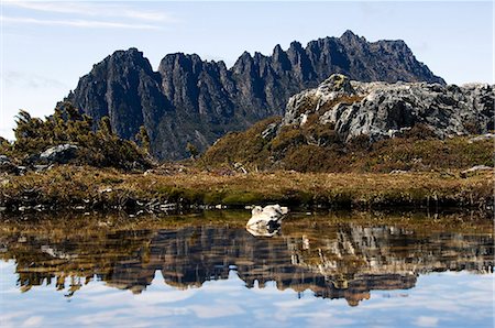 pictures overland track - Australia,Tasmania. Peaks of Cradle Mountain (1545m) reflected in a tarn on 'Cradle Mountain-Lake St Clair National Park' - part of Tasmanian Wilderness World Heritage Site. Stock Photo - Rights-Managed, Code: 862-03289067