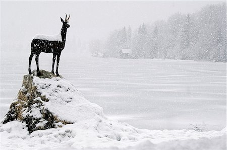 Bronze statue of Slovenian Antelope in the snow Stock Photo - Rights-Managed, Code: 862-03354162