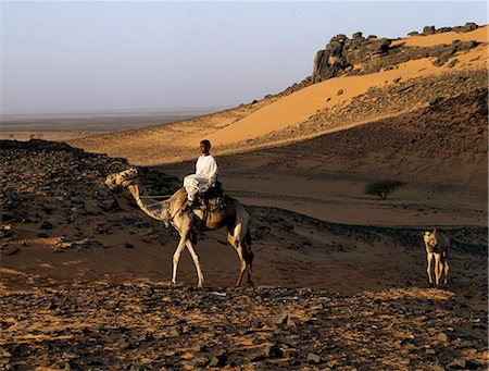 simsearch:862-03437232,k - In late afternoon light,a camel rider crosses a desert near the ancient pyramids of Meroe,east of the Nile. Stock Photo - Rights-Managed, Code: 862-03354577
