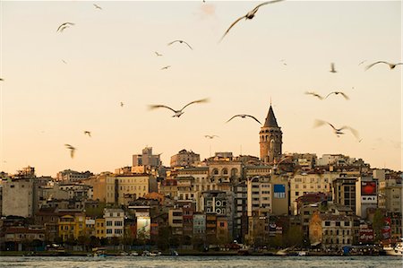 Seagulls flock above the Golden Horn,Istanbul,with the Galata Tower in the background. Stock Photo - Rights-Managed, Code: 862-03355087