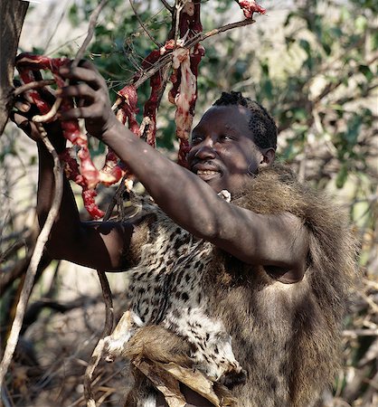 simsearch:862-03820241,k - A Hadza hunter wearing the skins of a baboon and genet cat hangs strips of impala meat in a tree to dry in the sun.The Hadzabe are a thousand-strong community of hunter-gatherers who have lived in the Lake Eyasi basin for centuries. They are one of only four or five societies in the world that still earn a living primarily from wild resources. Stock Photo - Rights-Managed, Code: 862-03355170