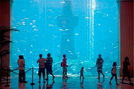 family, hotel - United Arab Emirates,Dubai,The Atlantis Palm Hotel. A massive aquaruim is the centre piece of one of Dubai's major new hotel developments with a huge collection of tropical fish and sharks. Stock Photo - Rights-Managed, Code: 862-03355356