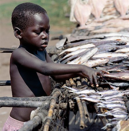 simsearch:862-03821015,k - Small fish caught in Lake Albert,including tilapia (Tilapia nilotica) and mpoi (Citheriaus citherus),are sun-dried on wooden racks before being transported to towns and trading centres elsewhere in the country. Foto de stock - Con derechos protegidos, Código: 862-03355397