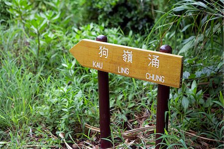 path of stone - China,Hong Kong,Lantau Island. Walking and trekking on the Lantau Trail,the footpaths are very well made and well waymarked. Stock Photo - Rights-Managed, Code: 862-03351931