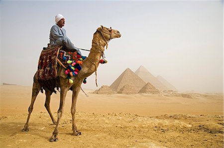 A camel driver stands in front of the pyramids at Giza,Egypt . Stock Photo - Rights-Managed, Code: 862-03352880