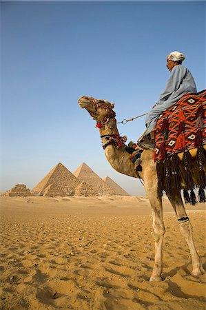 pyramids - A camel driver stands in front of the pyramids at Giza,Egypt . Stock Photo - Rights-Managed, Code: 862-03352883