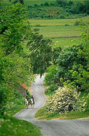 road together - England,Northumberland,Harbottle. Horseriding along a country lane. Stock Photo - Rights-Managed, Code: 862-03353469