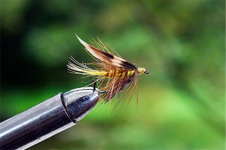 UK. A trout fishing wet fly known as an Invicta secured in a fly-tying vice. Stock Photo - Rights-Managed, Code: 862-03353757