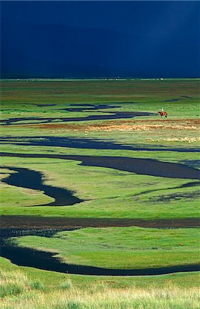 steppe - Mongolia,Steppeland. A lone Horse Herder out on the Steppeland. Stock Photo - Rights-Managed, Code: 862-03364531