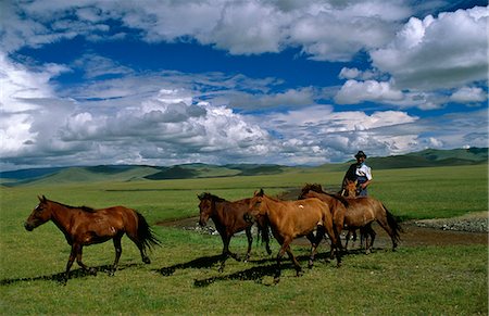 steppe - Mongolia,Steppeland. A Horse herder (Arat) on the Steppeland. Stock Photo - Rights-Managed, Code: 862-03364542