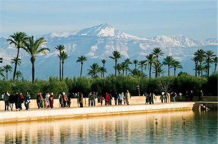 Menara Garden Water Basin Palm Trees and Snow Capped Mountains Stock Photo - Rights-Managed, Code: 862-03364761