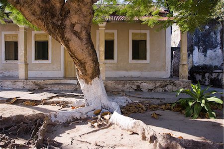 root ruin - Crumbling colonial villas on Ibo Island,part of the Quirimbas Archipelago,Mozambique Stock Photo - Rights-Managed, Code: 862-03364898