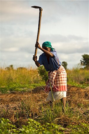 Mozambique,Inhaca Island. An Mozambican woman works on her land with a traditional farming tool; the hoe. She is preparing the ground for growing mandioca,a common staple food found on the island. Inhaca is the largest island in the Gulf of Maputo,lying 24km from the mainland. Inhaca is the most accessible of Mozambiques offshore islands,and ideally situated for a short break from Maputo. Stock Photo - Rights-Managed, Code: 862-03365003