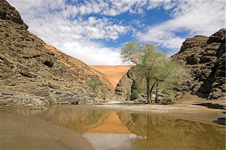 simsearch:862-03365353,k - Namibia,Namib Naukluft National Park. The Kuiseb Canyon forms the southern edge of Namib Desert Park. The river flows only occasionally and does not reach the sea. Stock Photo - Rights-Managed, Code: 862-03365350