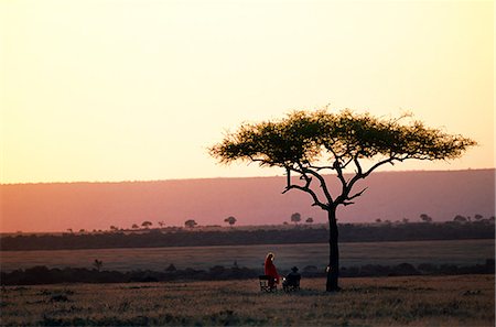 simsearch:862-03355195,k - Sundowners in the Mara for guests at Cheli & Peacock's Mara Camp. Stock Photo - Rights-Managed, Code: 862-03365996