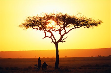 simsearch:700-06645854,k - Sundowners in the Masai Mara on safari. Stock Photo - Rights-Managed, Code: 862-03365997