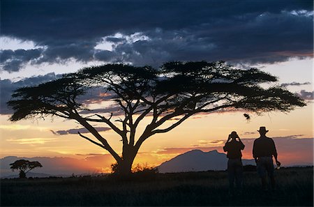 simsearch:862-03355195,k - Watching the sun go down behind Longido Mountain on a game drive from Tortilis Camp. Stock Photo - Rights-Managed, Code: 862-03366003