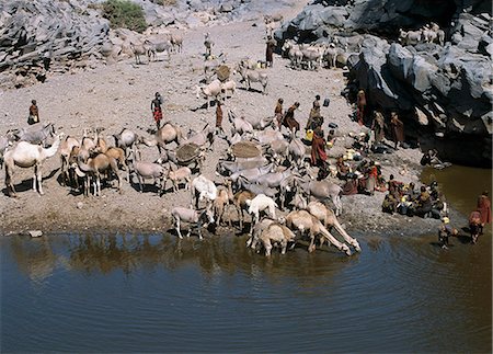 The natural rock pools along the Sirima lugga (seasonal watercourse) are important to the Turkana and their livestock in an otherwise waterless,rocky region at the southern end of Lake Turkana. In a year of average rainfall,water in the deepest pools will last throughout the year. If they dry up,the Turkana resort to using the alkaline water of Lake Turkana. Stock Photo - Rights-Managed, Code: 862-03366139