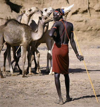 simsearch:862-03364287,k - A Pokot warrior with a traditional blue clay hairstyle tends his camels in a lugga (seasonal watercourse) while waiting his turn to water them from a deep well. Stock Photo - Rights-Managed, Code: 862-03366278