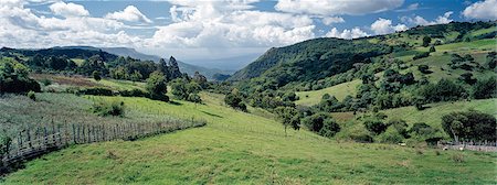 Smallholdings of the Pokot people dot the landscape on top of the fertile Cherangani Hills,which was once a well-forested area. The crop on the left of the picture is pyrethrum whose white flowers are dried and made into an effective natural insecticide. Stock Photo - Rights-Managed, Code: 862-03366310