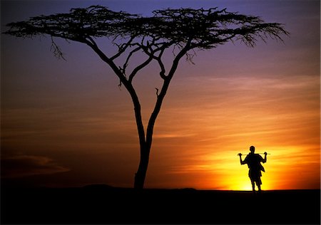 simsearch:862-03355195,k - Kenya,Chalbi Desert,Kalacha. A Gabbra herdsman presents a lonely figure standing under a flat-topped acacia tree on the edge of the Chalbi Desert at sunset. The Gabbra are a Cushitic tribe of nomadic pastoralists living with their herds of camels and goats around the fringe of the Chalbi Desert. Stock Photo - Rights-Managed, Code: 862-03366489