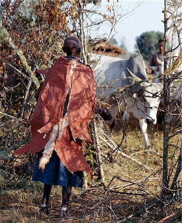 simsearch:862-03366058,k - A Samburu mother wears an ochred goatskin cape ready for milking a cow the evening before her son is circumcised. This distinctive cape is worn only at circumcision ceremonies. The milk must be drawn from a cow that has not given birth more than twice and will be poured over her son's head just before he is circumcised early the next morning. Stock Photo - Rights-Managed, Code: 862-03366542