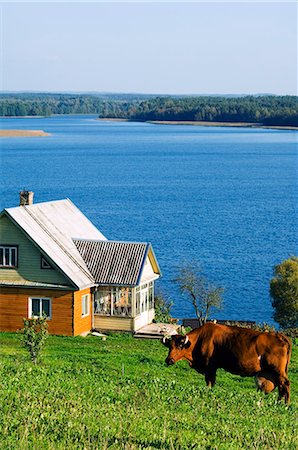 structure of there farm houses - Aukstaitija National Park - Land of lakes and hills - a lakeside farm house in Lithuania's first National Park Stock Photo - Rights-Managed, Code: 862-03367227