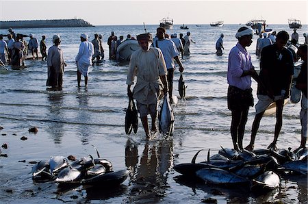 sur - Fishermen off-load their catch onto the beach at Sur. Some of the fish are sold locally,but much is put into refrigeration lorries and taken to Muscat,the inland cities and even up to UAE. Tuna form a high proportion of their catch Stock Photo - Rights-Managed, Code: 862-03360202