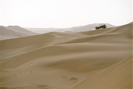 A tourist dune buggy looks out across the sand dunes near Huacachina,in southern Peru. Stock Photo - Rights-Managed, Code: 862-03360526