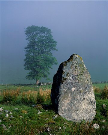 Standing stone and Oak tree Stock Photo - Rights-Managed, Code: 862-03361403