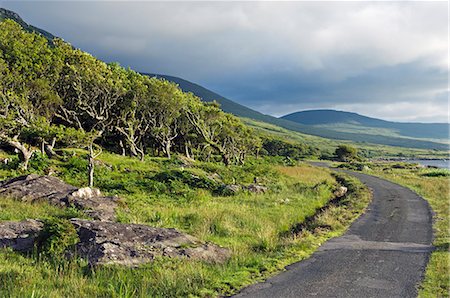 simsearch:862-03361556,k - The coast road winds its way along the shore of Loch na Keal skirting under Ben More Stock Photo - Rights-Managed, Code: 862-03361560